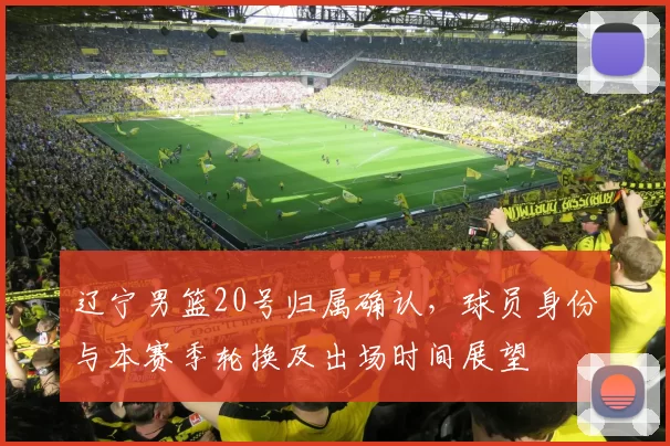 辽宁男篮20号归属确认，球员身份与本赛季轮换及出场时间展望