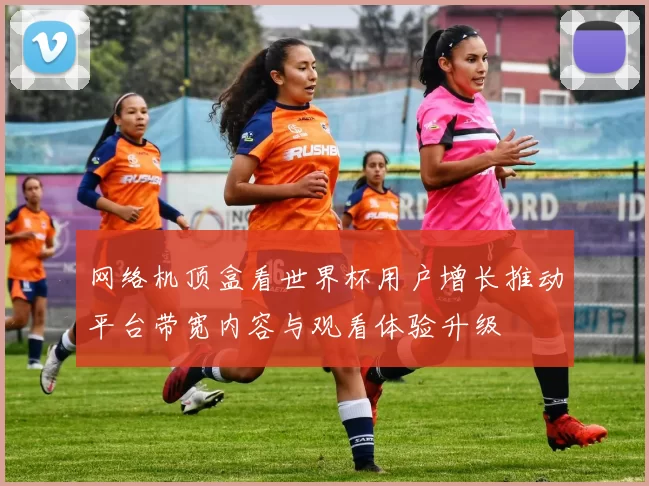 网络机顶盒看世界杯用户增长推动平台带宽内容与观看体验升级